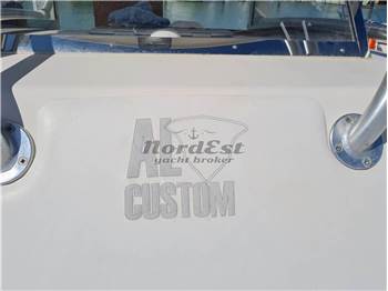 AL Custom 30 WA Walkaround