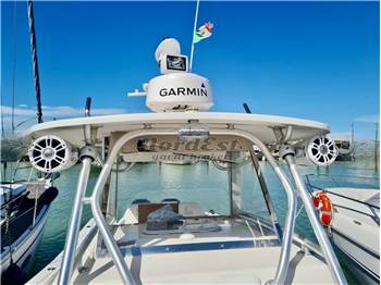 AL Custom 30 WA Walkaround