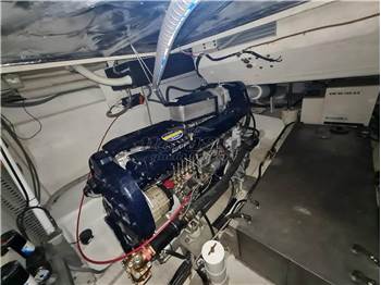 Primatist G50 Speedster