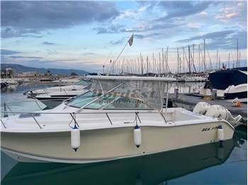 Sea Pro Seapro 270 WA Walkaround