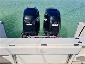 AL Custom 30 WA Walkaround