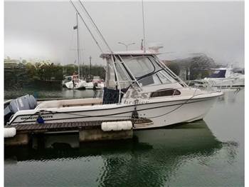 Grady White 282 Sail Fish