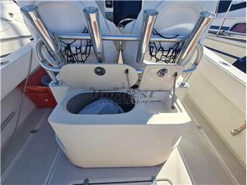 AL Custom 30 WA Walkaround