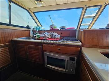 Della Pasqua DC 15 Fly