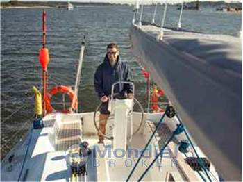 Delphia 34