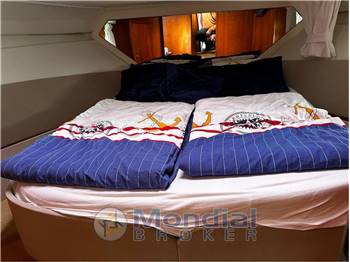 Starfisher 34 cruiser