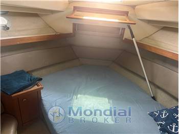 Bayliner Bayliner 3587 AFT Cabin