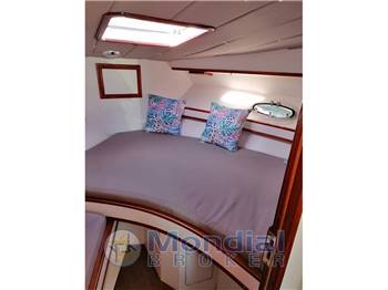 Lenny Gear AC DC DAYCRUISER