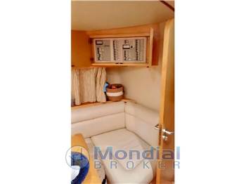 FIART 38 GENIUS