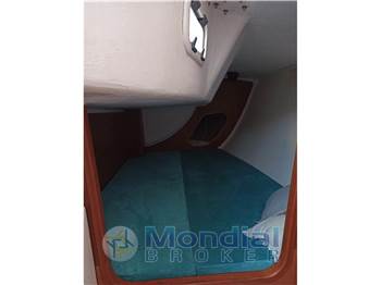 Solaris 36 OD