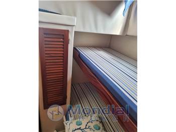 Plastik Space 310 Cruise