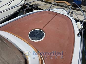 Ranieri Shadow 26