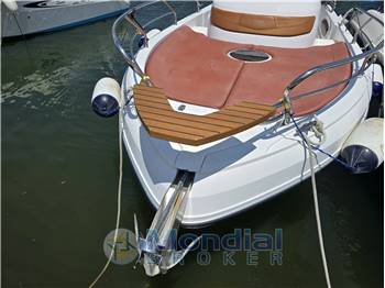 Ranieri Shadow 26