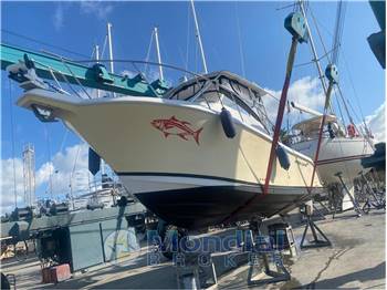 Proline28 Express Proline 28 Exspres