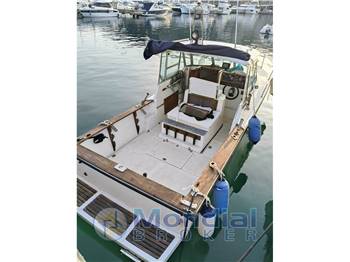 Tuccoli T 24 Moby DIck