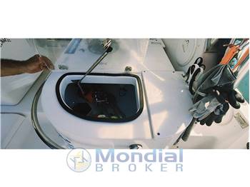 Pro-line 29 Walk around