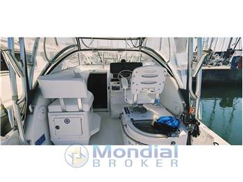 Pro-line 29 Walk around