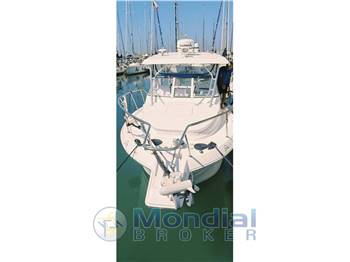 Pro-line 29 Walk around