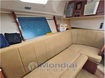 Luhrs 32 Express tuna