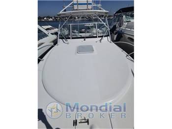 Luhrs 28 Express tuna tower