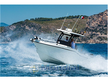 Sea Game 23 blackfin CC