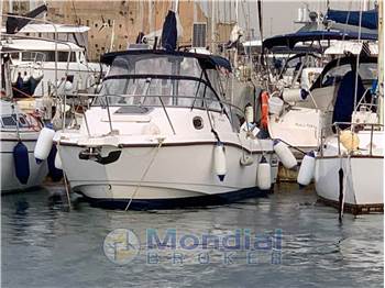 Boston whaler 235 conquest