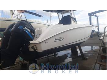 Boston Whaler 270 Outrage