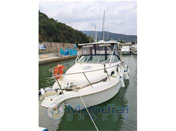 Wellcraft Coastal 270