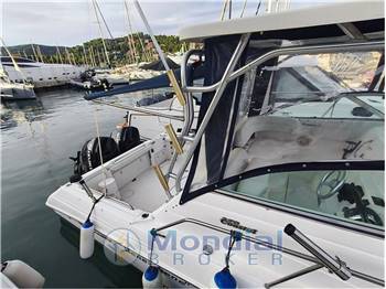 Wellcraft 270 Coastal FB