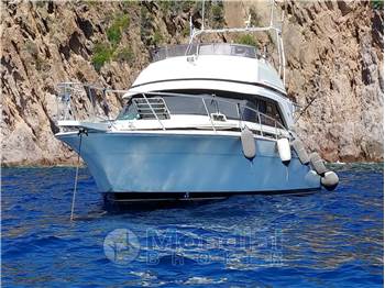 BERTRAM CONVERTIBILE 37 FLY