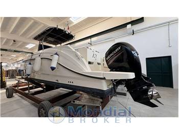 Quicksilver 805