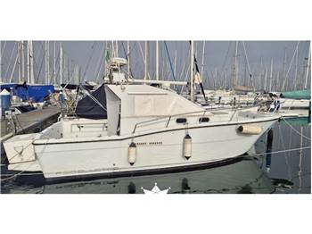 ZANIBONI F310 BLUETIME