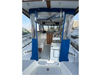 Polyform Fisherman Triakis C29