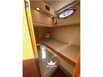 SEALINE F42/5