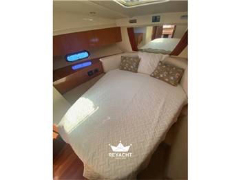 SEALINE F42/5