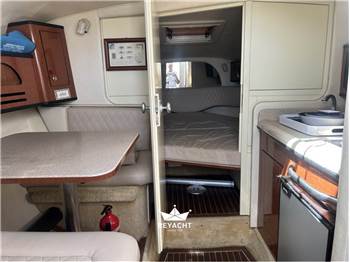 SEA RAY SUNDANCER 315