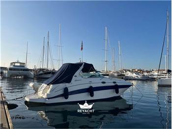 SEA RAY SUNDANCER 315