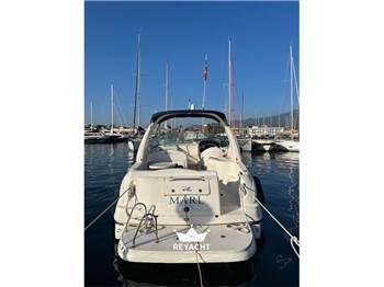 SEA RAY SUNDANCER 315