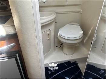 SEA RAY SUNDANCER 315