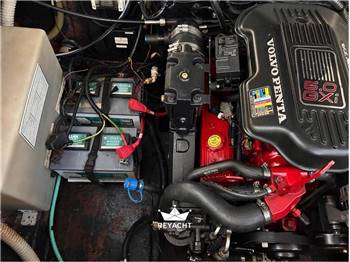 STINGRAY 250 CS