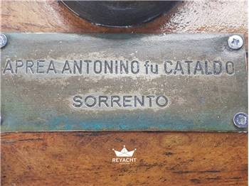 ANTONINO APREA GOZZO SORRENTINO