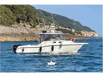 Boston whaler conquest 305