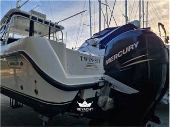 Boston whaler conquest 305