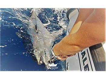 Boston whaler conquest 305