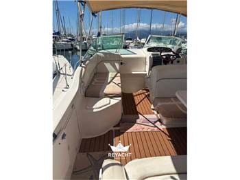 SEA RAY SUNDANCER 250