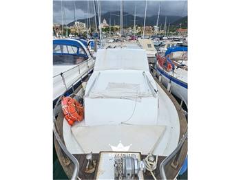 Sciallino 33