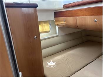 SEALINE F44
