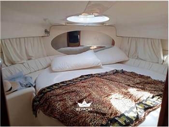 SESSA OYSTER 35