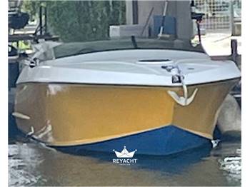 DELLAPASQUA DC 7 ELITE