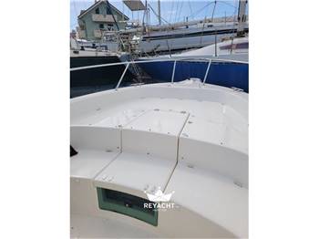 KELT WHITE SHARK 285